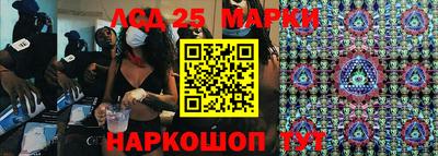 шишки Будённовск