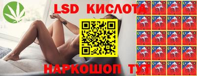 шишки Будённовск
