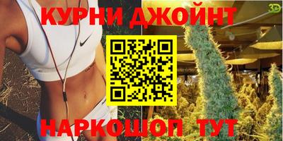 шишки Будённовск